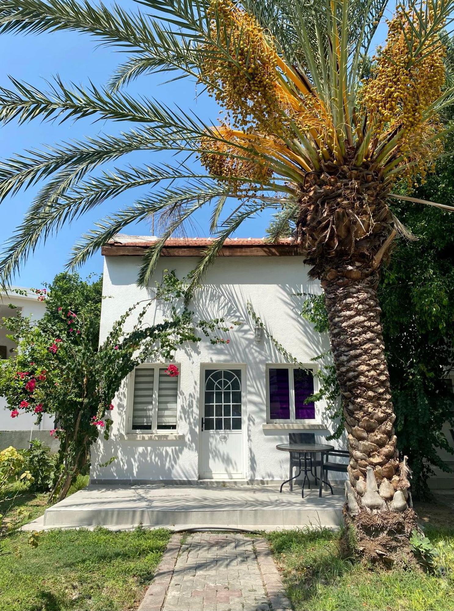 The Prince Inn Hotel & Villas Agios Georgios  Экстерьер фото