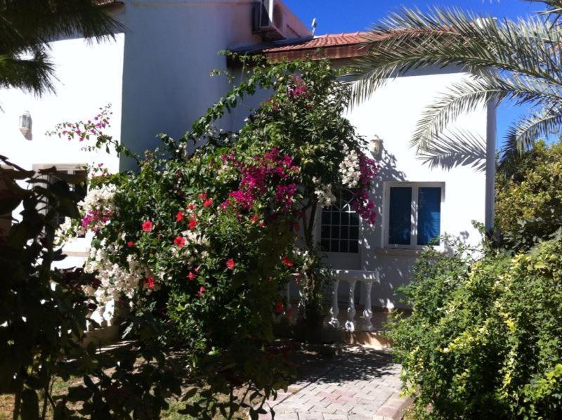 The Prince Inn Hotel & Villas Agios Georgios  Экстерьер фото