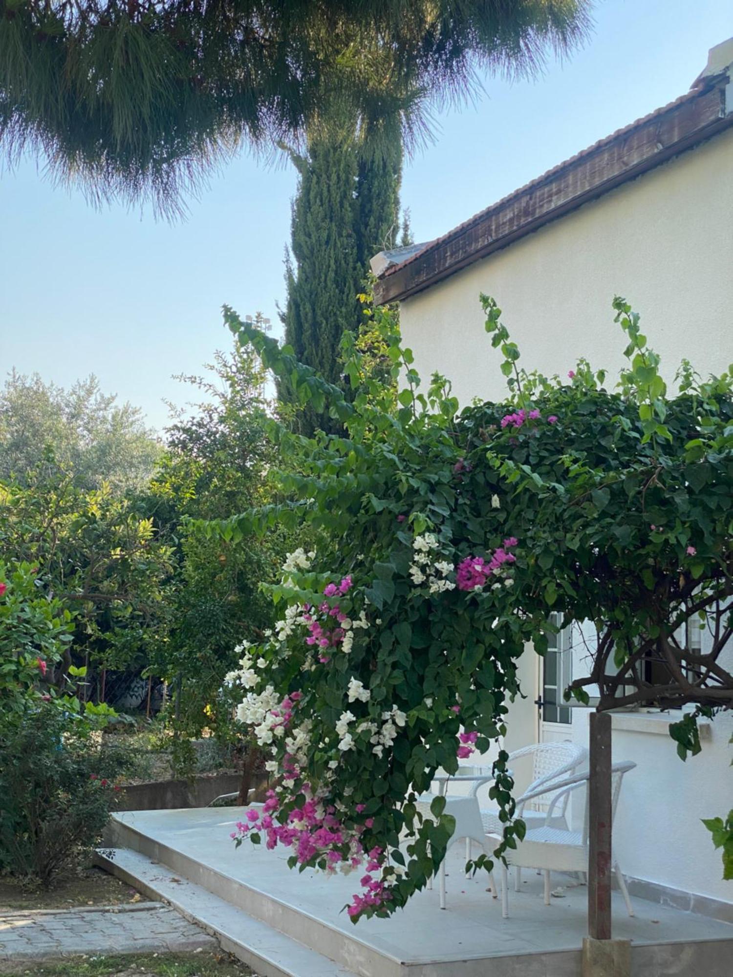 The Prince Inn Hotel & Villas Agios Georgios  Экстерьер фото